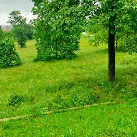 Il Bosco Incantato * Borgo San Dalmazzo
