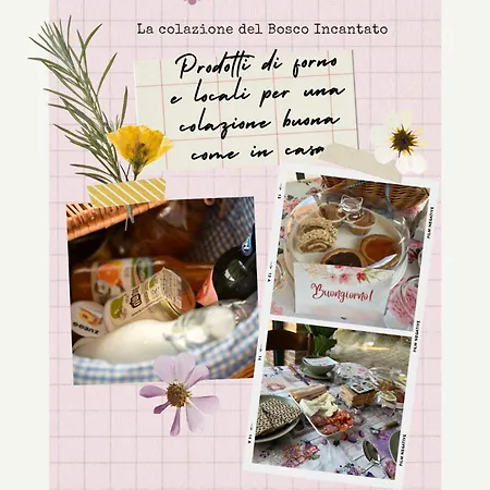 Bed & Breakfast Il Bosco Incantato *