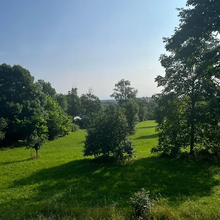 Il Bosco Incantato * Borgo San Dalmazzo