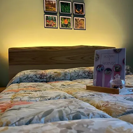 Il Bosco Incantato Bed & Breakfast *