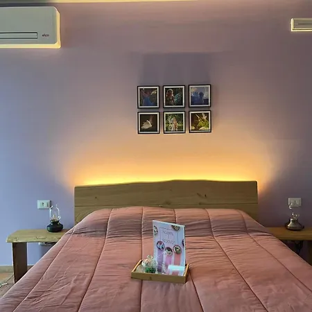 Il Bosco Incantato *