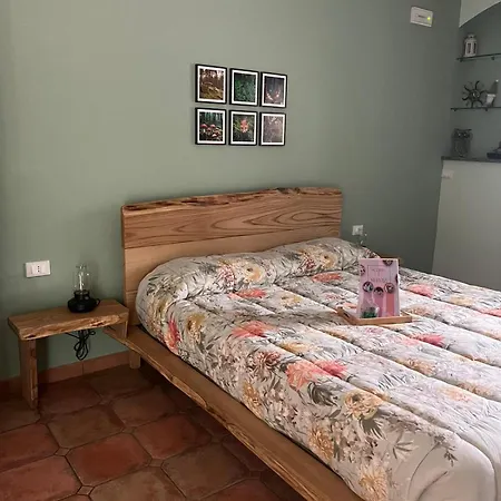 Il Bosco Incantato *